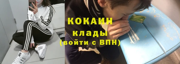шишки Пестово