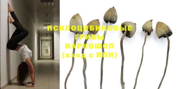 шишки Пестово