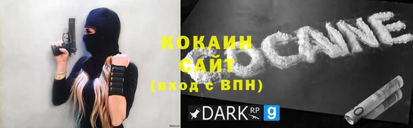 шишки Пестово
