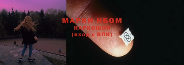 шишки Пестово