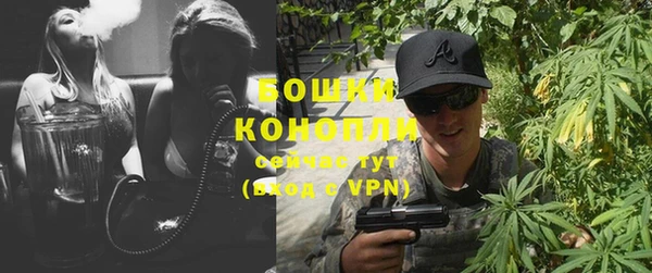 шишки Пестово