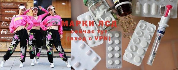 шишки Пестово