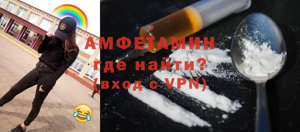 шишки Пестово