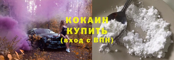 таблы Бикин