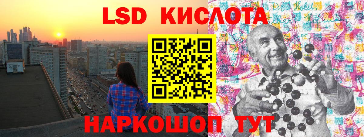 APVP Тамбов