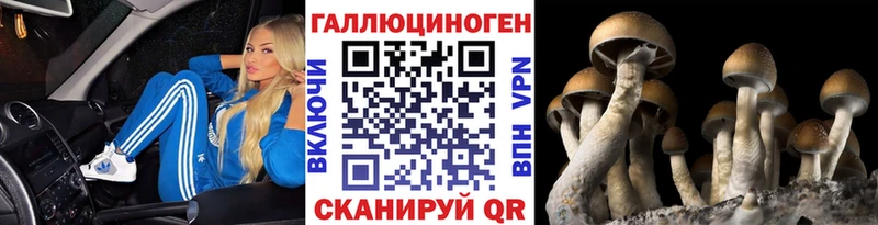 Галлюциногенные грибы Psilocybe  MEGA вход  Тамбов  цены  
