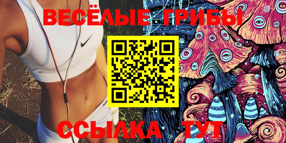 Галлюциногенные грибы ЛСД  Вход с VPN  Тамбов  Псилоцибиновые грибы Psilocybe 