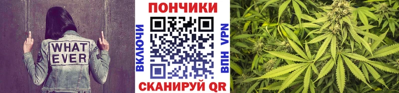 купить наркотики сайты  Тамбов  Бошки Шишки планчик 